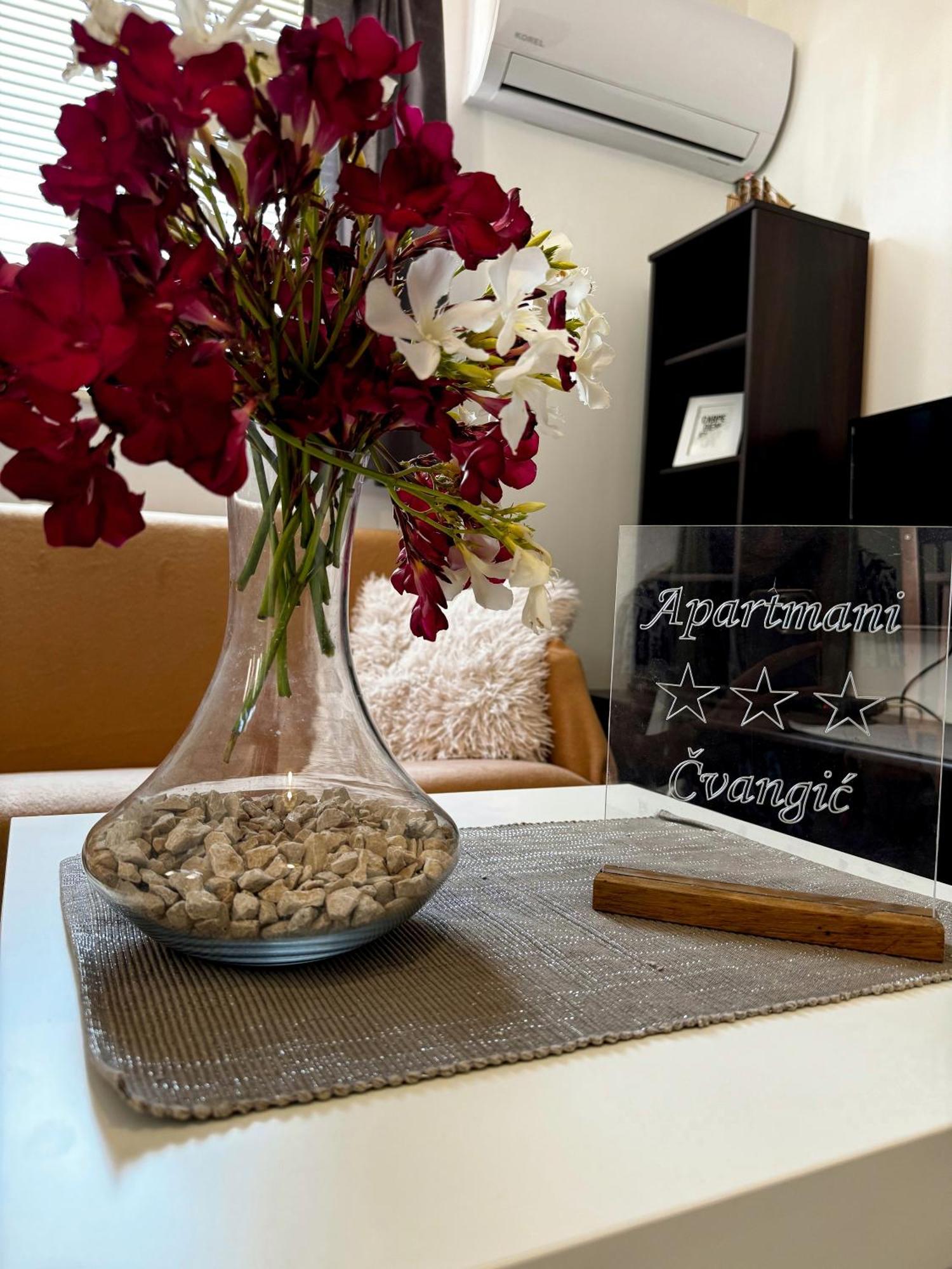 Apartmani Cvangic Vir Esterno foto